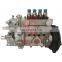 Beiqi Foton Injection Pump E049331000198 BH4Q85L8 for Foton Engine