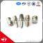 Top quality fuel diesel injection nozzle DLLA155P1030