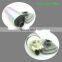 jinshengxi spares parts FP3800 FP-3800 fuel pump for car