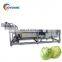 with spray nozzles commercial fruit and vegetable high pressure spraying bubble washer machine