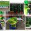 South America hot selling automatic cattle/cow fodder corn/barley fodder system hydroponic