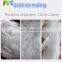 MS Flake Ice Machine Flake Ice Machine 2ton Per Day For Fishery With Best Price CE