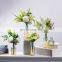 Nordic tall vase modern wine cabinet dining table transparent vases glass for home decor craft decoration