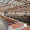 Paver Block Making Machinery/ Hollow Block Making Machinery