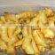 ginger berst quality with good price