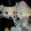 big teddy bear 200cm custom plush toy/plush brown bear toy/soft plush brown bear toy