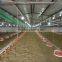 Automatic feeding system for broiler barn