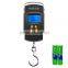 electronic digital fishing scale