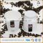 single wall /double wall /ripple wall paper cups with PS lids