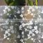 PVC frosted indoor grape vine design decoration adhesive glass window film