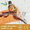 Digital Printing Beach Towel 200gsm 76 x 64 Inches 90*170cm 75*150cm 500gsm Suede Beach Towel