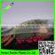 HDPE transparent agricultural anti insect net/insect repellent net