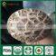 Best seller High Yield China Supplier ISO9001 Certified Mushroom Shiitake Grow Log Cultivation Kits