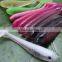 Shad soft plastic fishing lure Tpr /Tpe