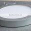 Large LED ceiling lights for home China only manufacturer