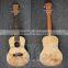 Ukulele in different colour
