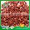 Organic Freeze Dried Strawberries Slice