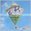 cheap promotion kites from kaixuan kite factory