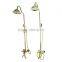 Professional Modern Style Water Saving Antique brass rain bath shower head set