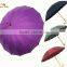 Designer umbrella in assorted colors