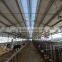 steel structure cowshed /building