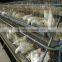 poultry farming H type chicken layer cage