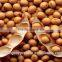 Isolated Soy Protein(YP901E)