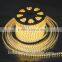 220V IP65 SMD5050 60L/M Flexible Strip Light