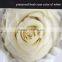 export long-lasting dried flowers highest quality preserved flowers rose
