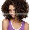 High Quality Wigs Curly for Women African