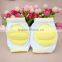2015 new products baby cute knee pad/ baby knee pads/ crawl pad