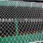 HDPE knotted mesh bird netting on grapes