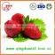 For sale High quality whole Fresh Strawberry