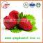 25-35mm A13 Chinese Best quality Whole Fresh Strawberry