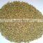 Indian Fennel seeds