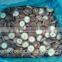 New crop mushrooms manufacturer Chinese iqf shiitake