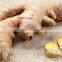 Frozen Ginger Puree - High Quality From Vietnam