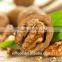 big and full Walnuts kernel ,Light Halves Walnut kernel ,raw organic walnut Kernel 85%