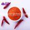 New Crop High Quality Dry Red Chili Powder
