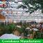 High quality commercial used sheet covering greenhouse for sale