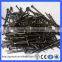Cheap wholesale 1-5 inch common nail wooden nails iron nails(Guangzhou Factory)