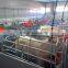 Breeding Pig Corral for Pig Farrowing Crate