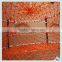 shrimp pot /crab pot/ carb cage/ lobster trap/lobstercage/lobster pot