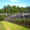 HDPE Agriculture Vineyard Plastic Apple Tree Anti Hail Net for Plantations
