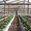 PP Plant Support Net Clamp Netting