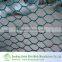 China Negative Twist Hot dipped galvanized hexagonal wire mesh Manufacture
