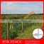 Long Service Life Galvanized Grassland Protection Fence/Farm Fencing