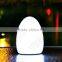 2015 Rechargeable New Design LED Light balls and plastic balls YG002