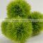 Plastic grass ball