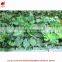 High quality mini artificial flowers green wall vertical garden